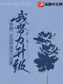 三國之負(fù)天下