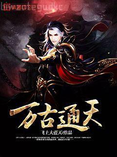 [網(wǎng)王]奉女成婚