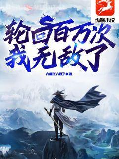 高達SEED之最后的歸宿