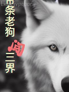 雙生太子寵妻手冊