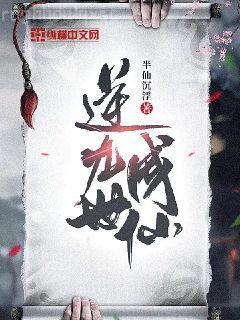 木葉養(yǎng)貓人