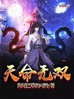 我的冰冷大小姐