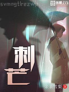 長安十二時辰()