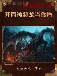 射雕之武穆遺書