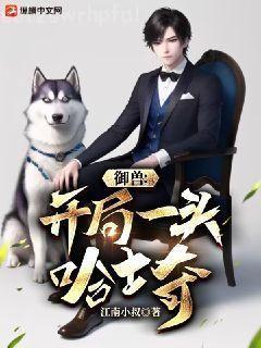 愛上神秘總裁蘇玖皇甫爵