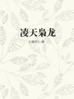 不負(fù)年華不負(fù)卿白挽星殷夜辰