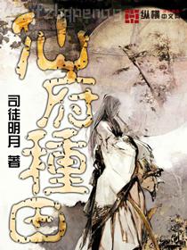 迷蹤諜影西方蜘蛛