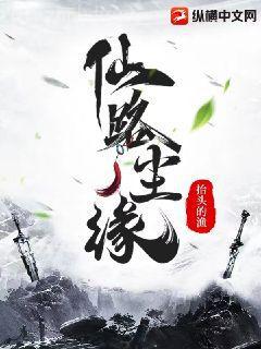 顧南煙陸北城