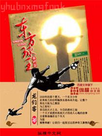 神奇寶貝之落羽星辰